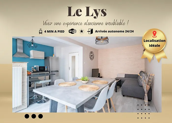 Le Lys - Calme A 5 Min Tram, Proche Centre Stras * ストラスブール