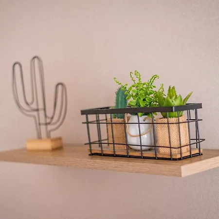 شقة Le Lys - Calme A 5 Min Tram, Proche Centre Stras