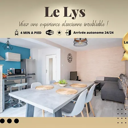 Le Lys - Calme A 5 Min Tram, Proche Centre Stras * Estrasburgo